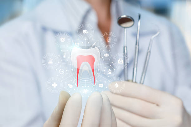Best Full Mouth Reconstruction  in Royal Pines, NC